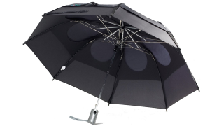 Illustration for article titled Your Top Five Picks For Best Umbrella